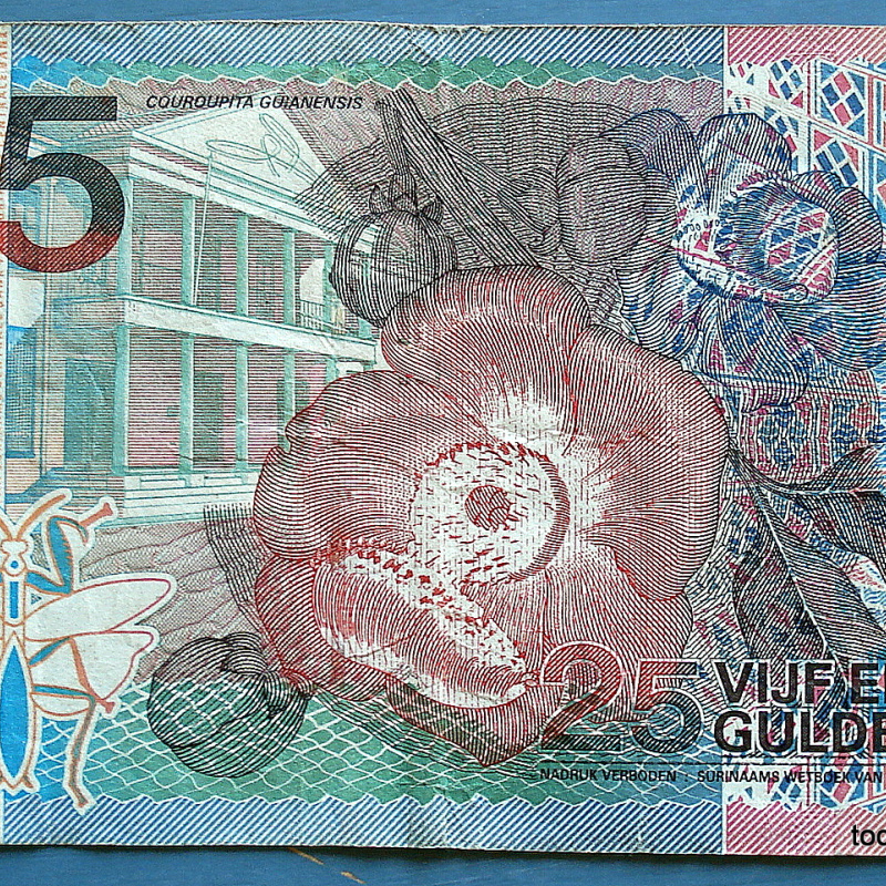 25 SURINAME BILLETE CIRCULADO