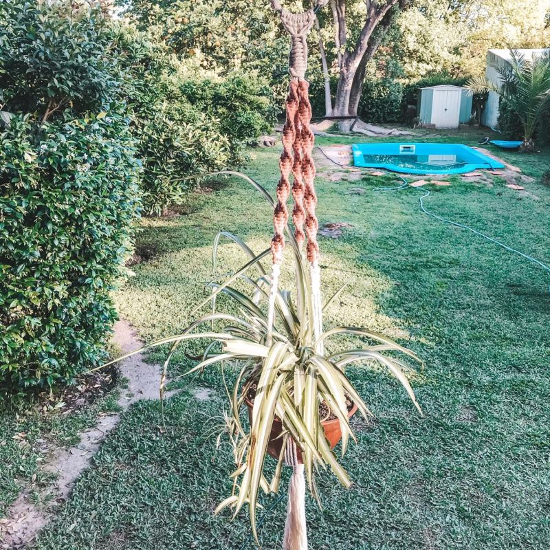 Portamacetas Hydra